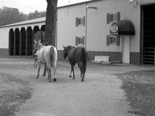 Property photo 82 - 80 Acres Offered in 4 Tracts - Horse Farm